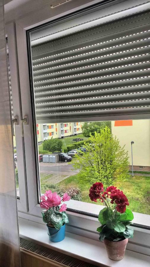 Komfort Ferienwohnungen Zwenkauer See المظهر الخارجي الصورة